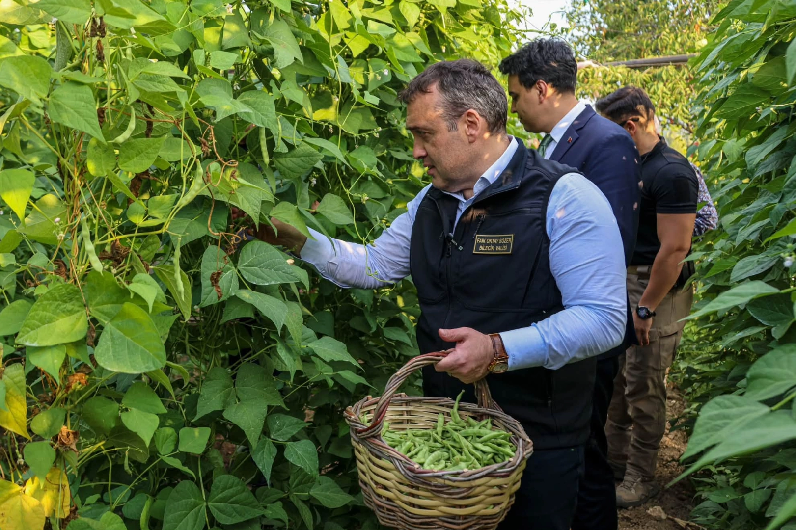 Pazaryeri Boncuğu&rsquo;nda hasat vakti