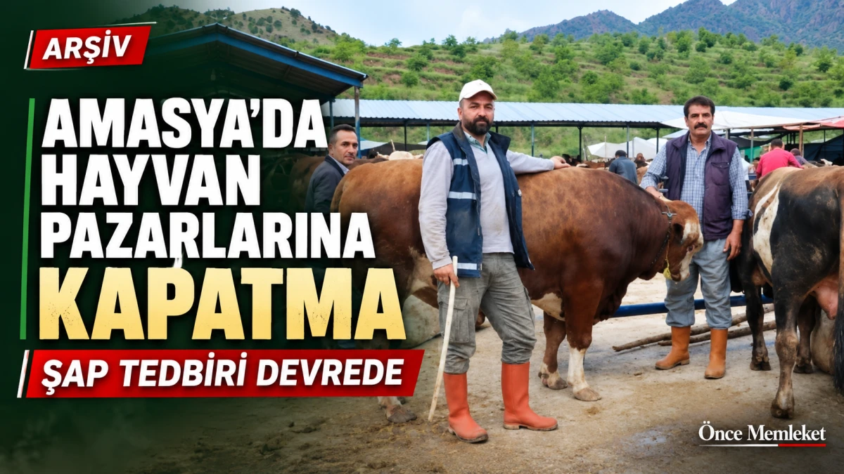 Amasya&rsquo;da hayvan pazarları şap tedbiriyle kapatıldı