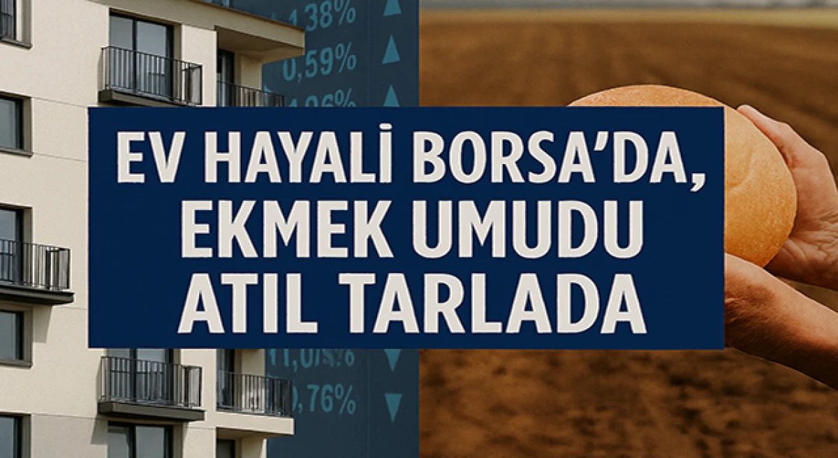 Ev Hayali Borsada, Ekmek Umudu Atıl Tarlada