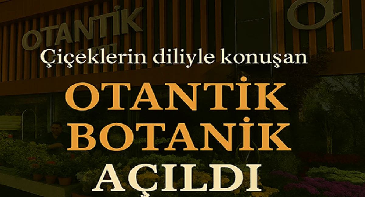 İstanbul’da Doğal Çiçek Aranjmanı ve Hızlı Teslimat: Otantik Botanik
