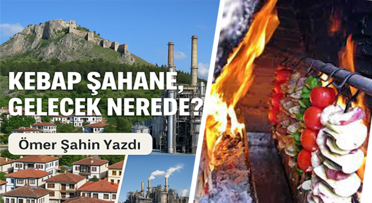 Kebabı Yedik, Şimdi Ne Yapacağız?