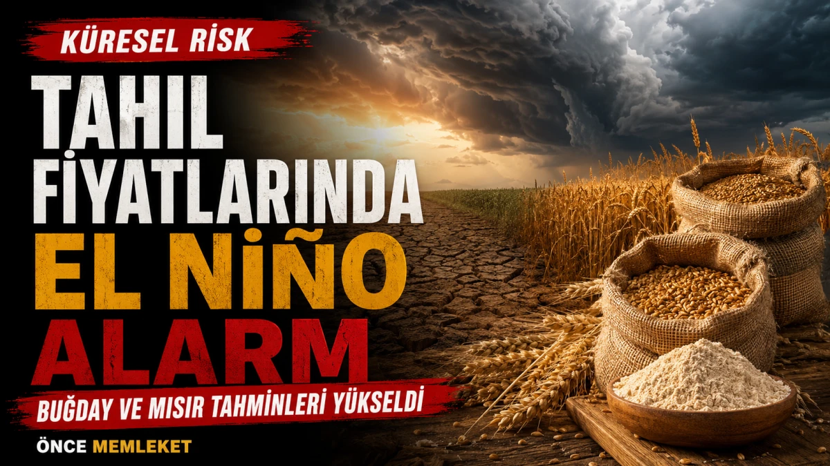 K&uuml;resel tahıl piyasasında S&uuml;per El Ni&ntilde;o alarmı: Buğday ve mısır tahminleri y&uuml;kseltildi