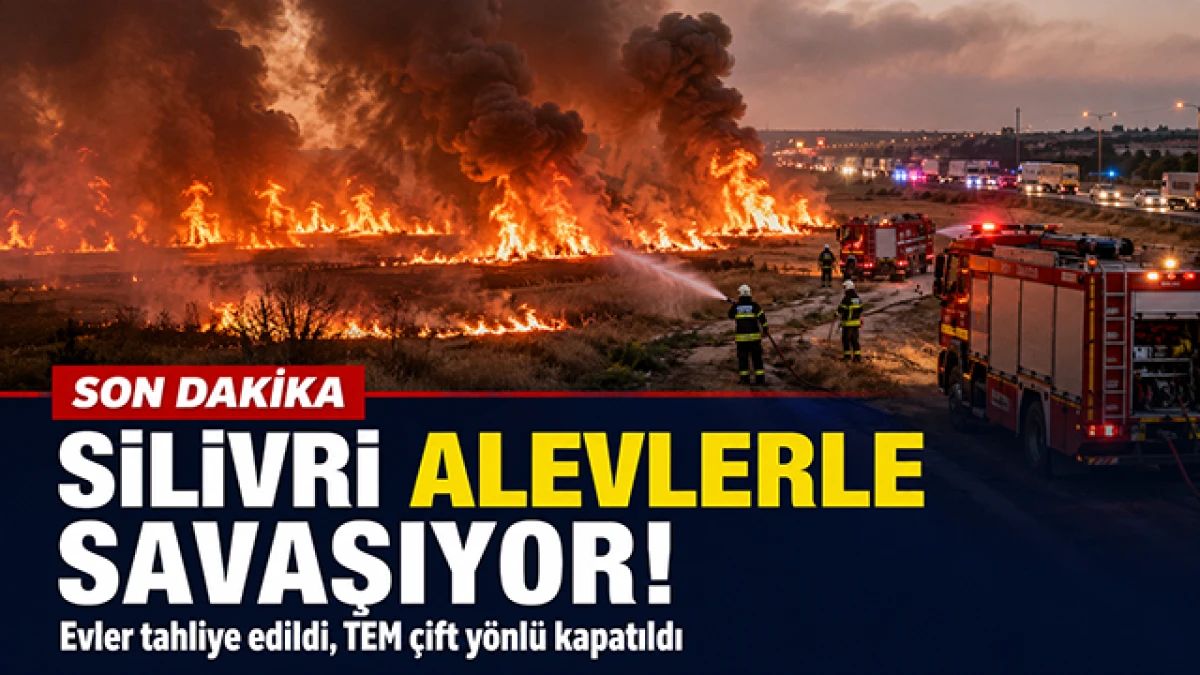 Silivri&rsquo;de tarla yangını b&uuml;y&uuml;d&uuml;: Evler tahliye edildi, TEM trafiğe kapatıldı